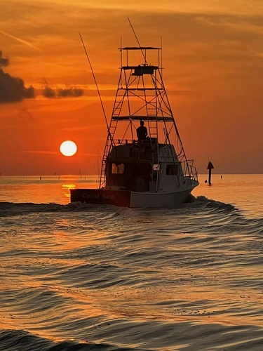 Coral Sea Charters