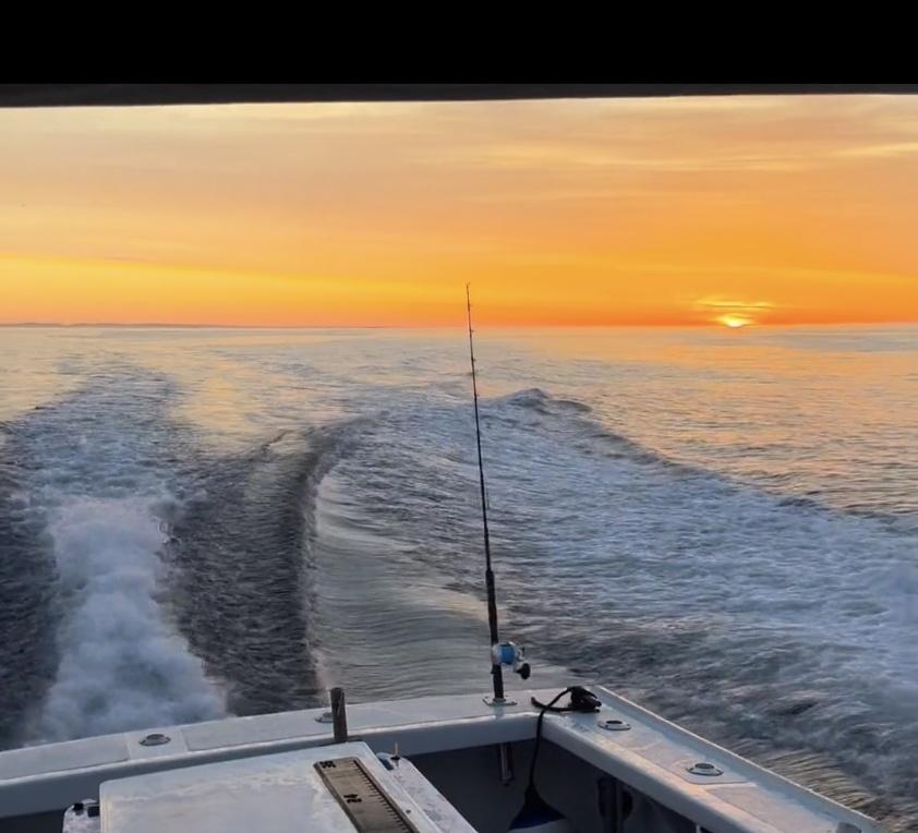 Charter Image