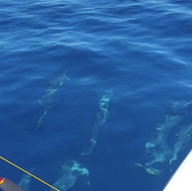 Charter Image