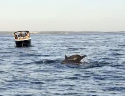 Charter Image