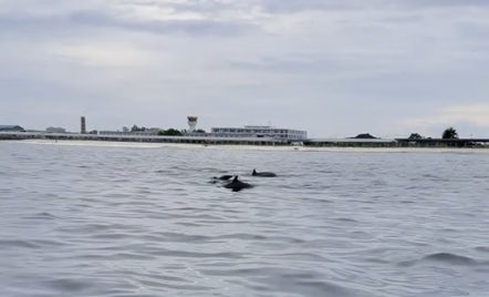 Charter Image