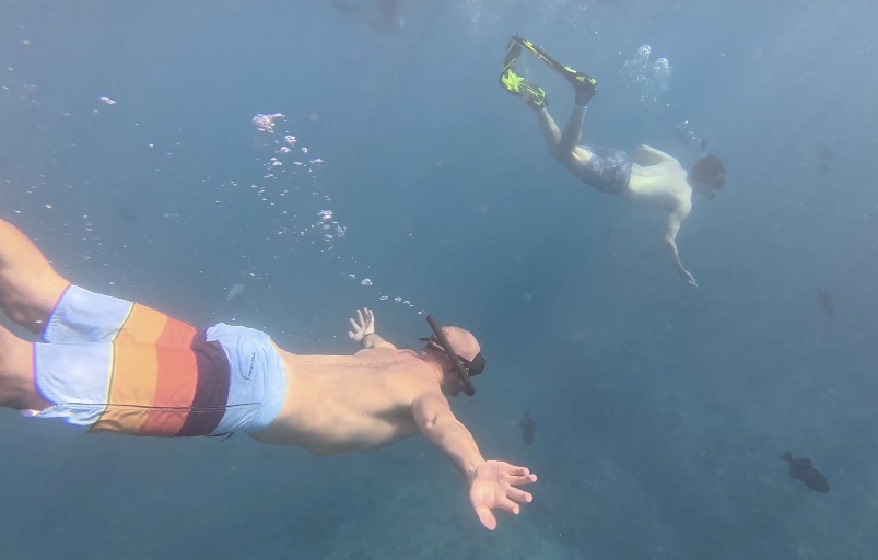 Amazing time snorkeling with Turtles! 