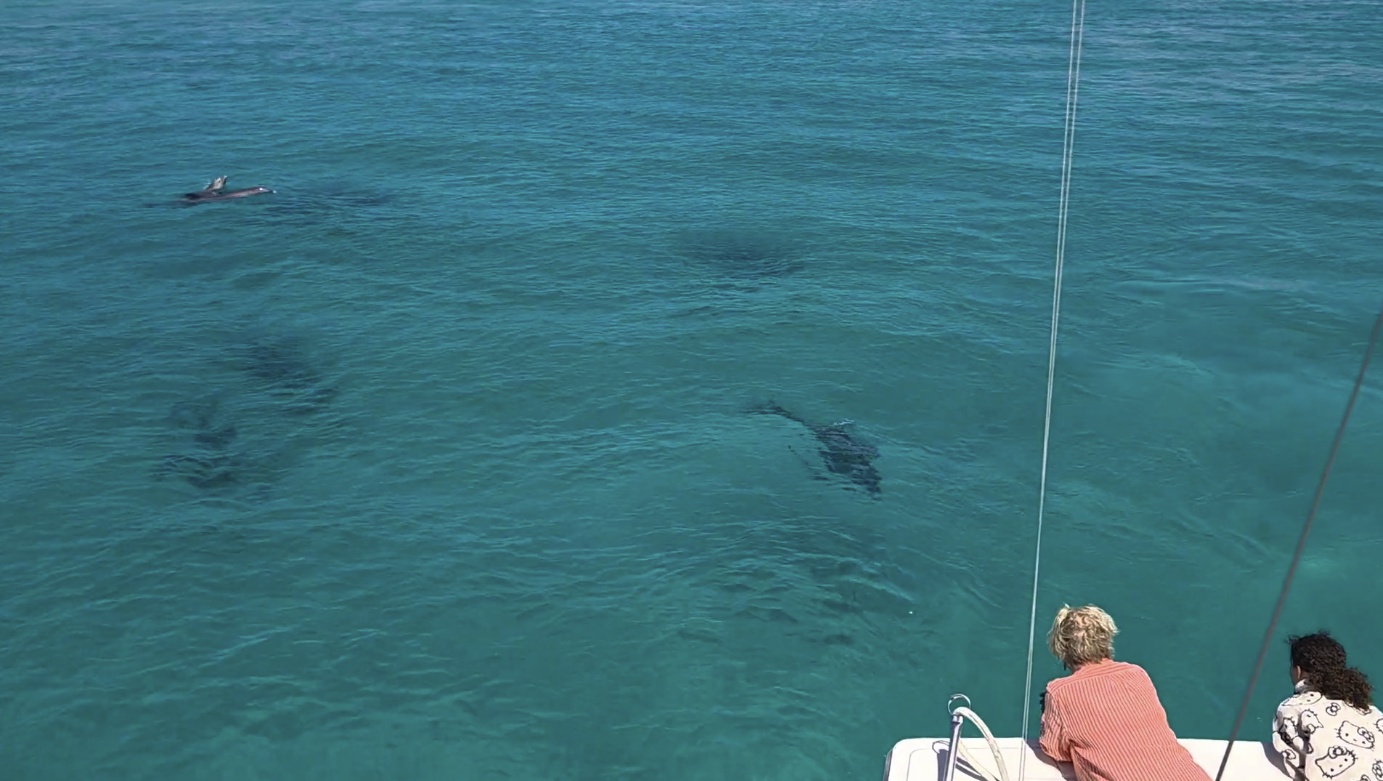 Charter Image