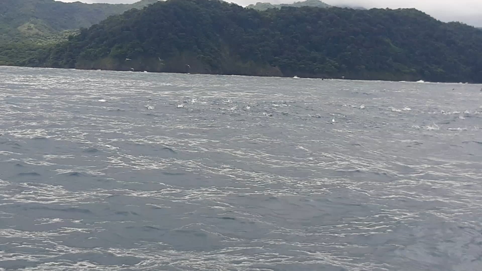 Charter Image