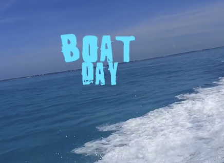 The perfect day 