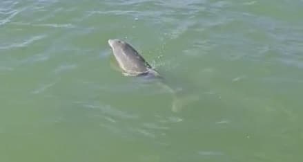 A wonderful experience 