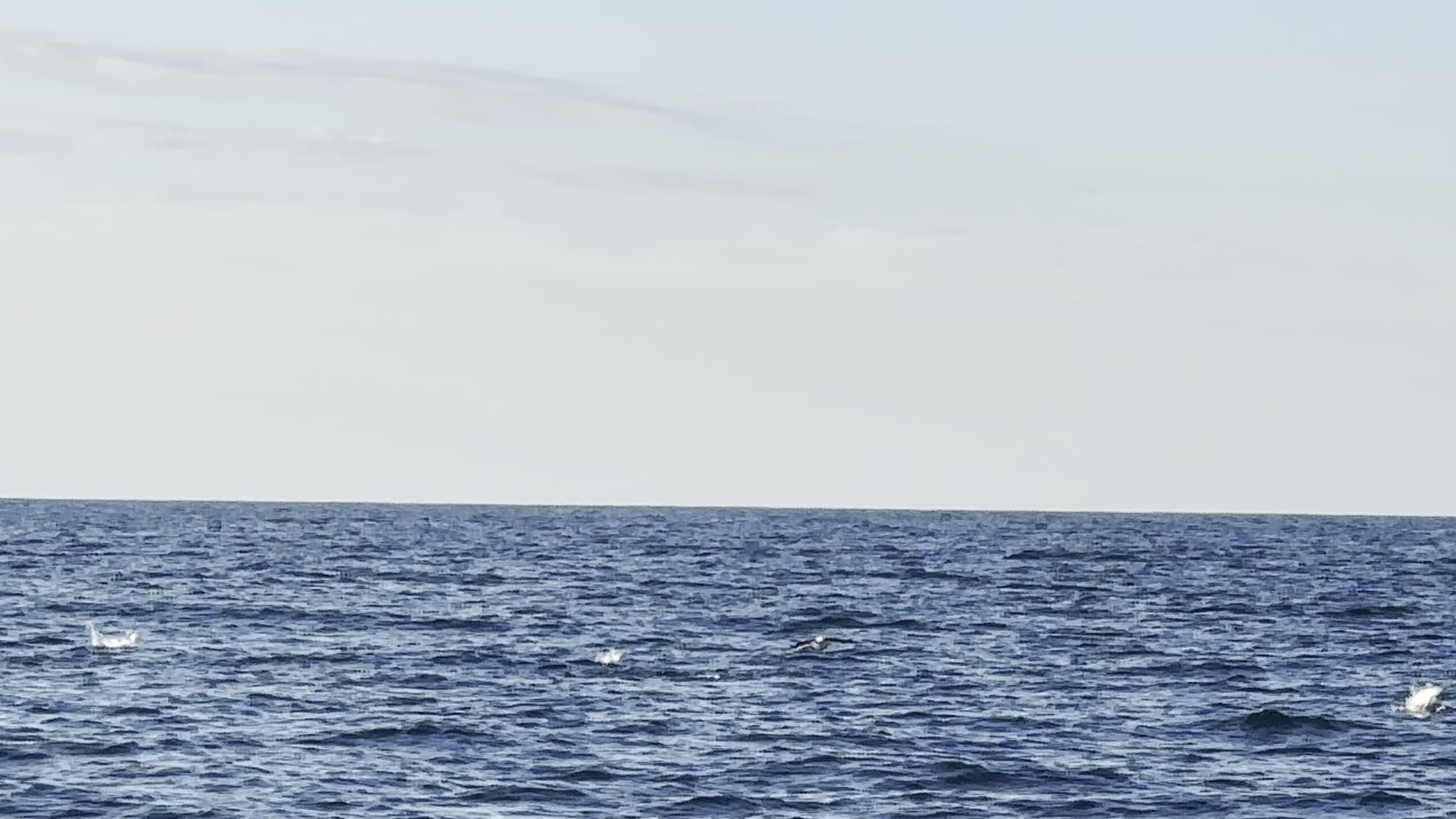 Charter Image