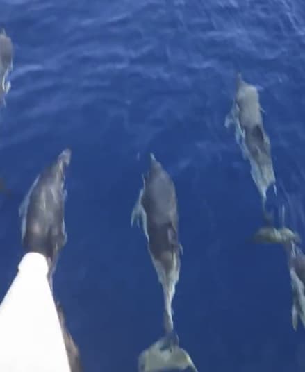 Charter Image