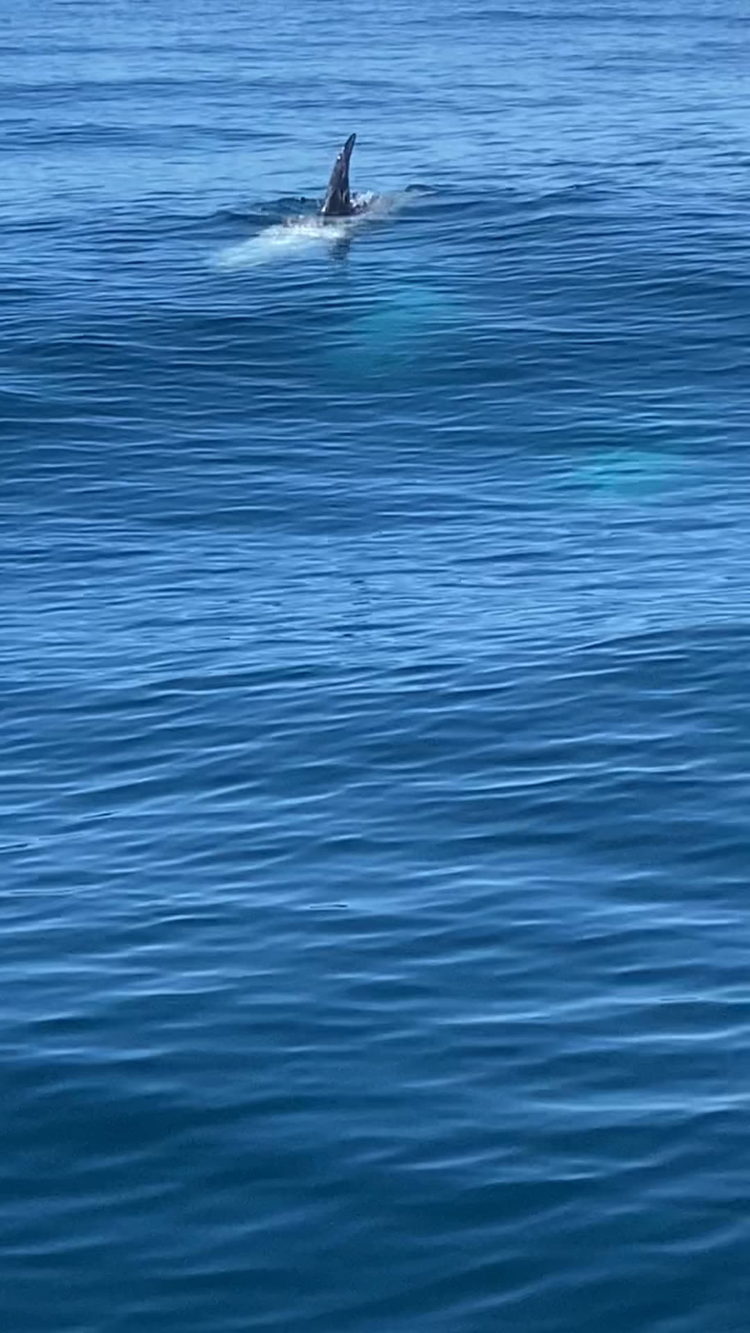 Charter Image