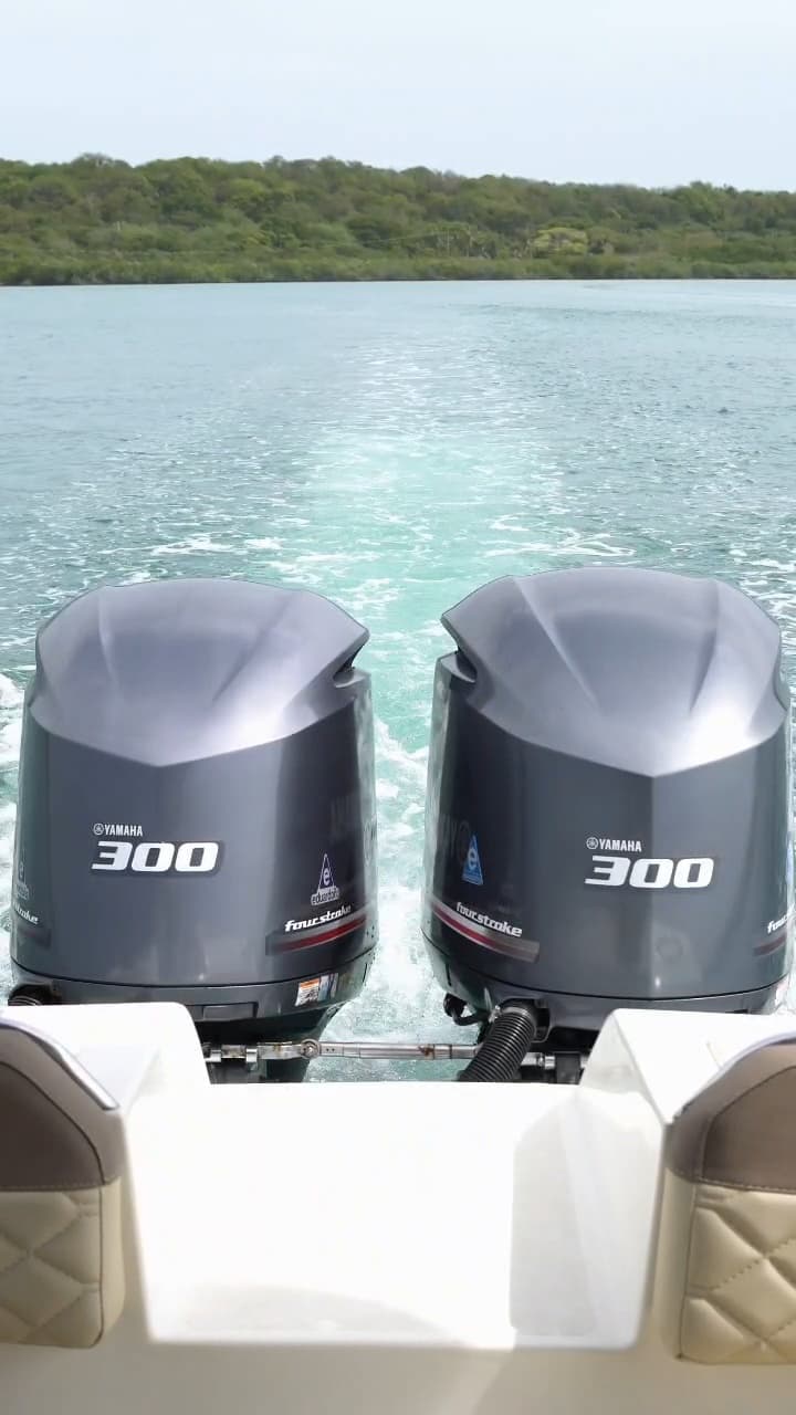 Orchid boat?⚓️