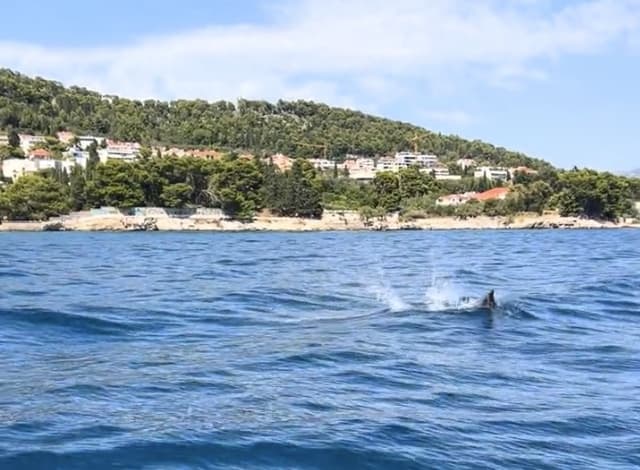 Charter Image