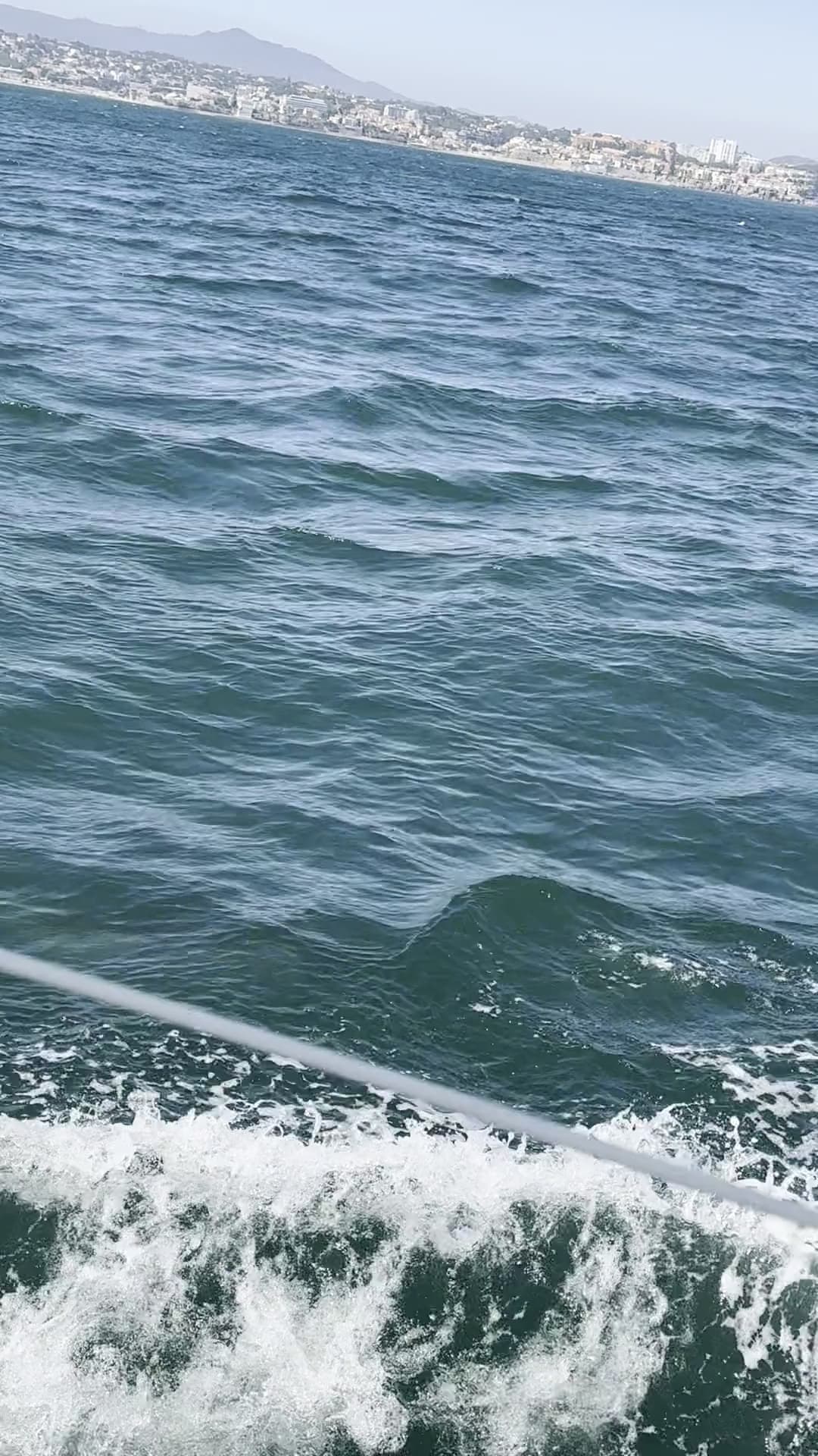 The Dolphins showed up