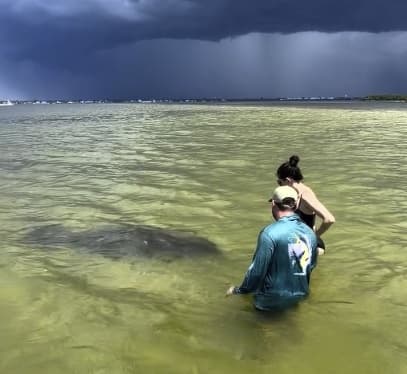 Manatees, Sanddollars, Seashells and Good Vibes!