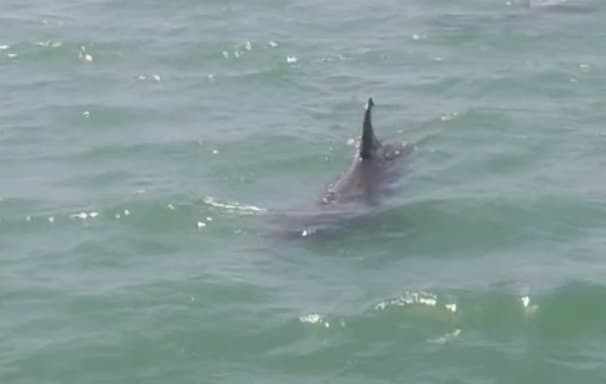 experience gulf coast