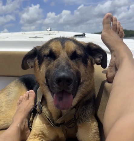 So awesome for dogs!!!