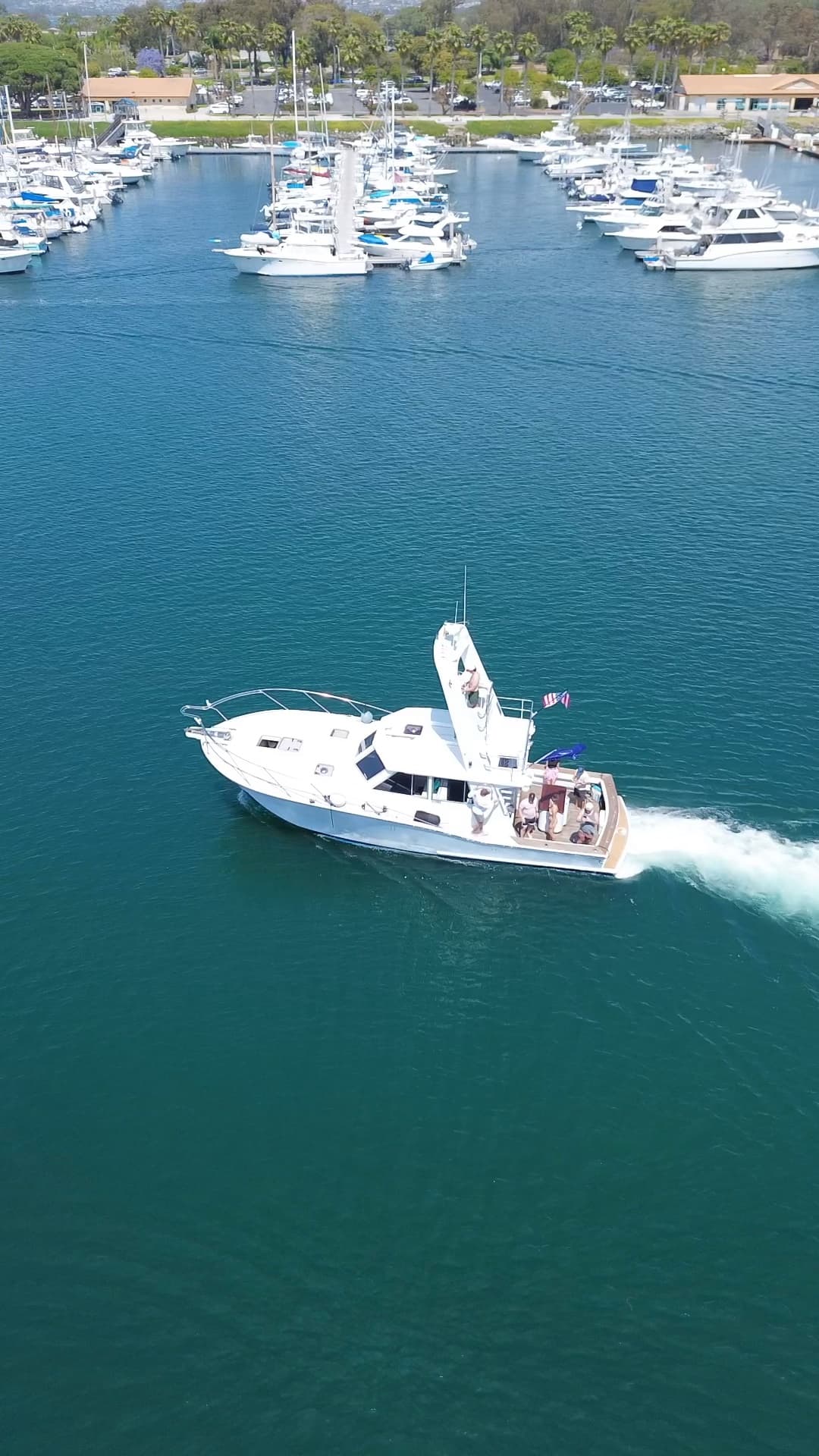 Bluebill Motor Yacht