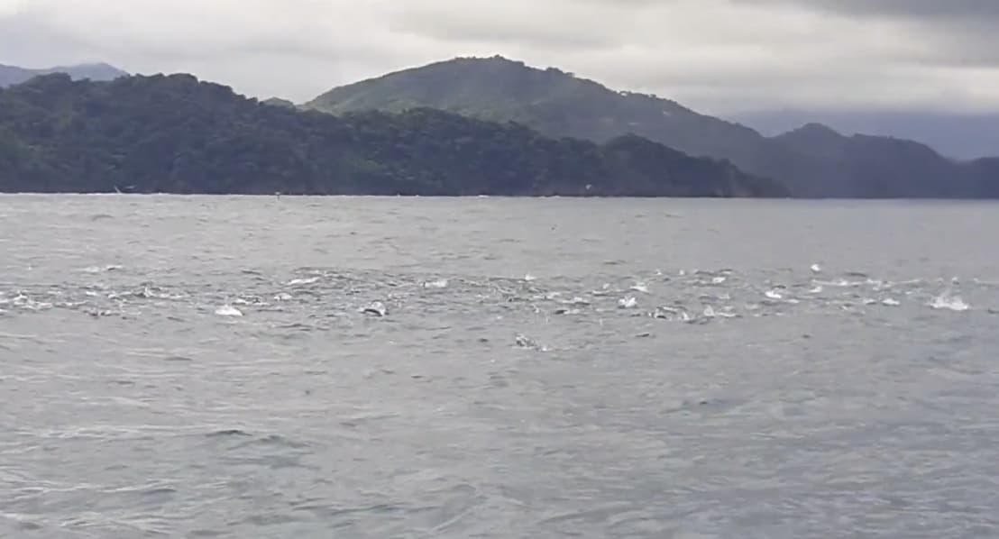 Charter Image