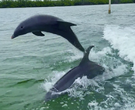 Amazing Nautical Adventure