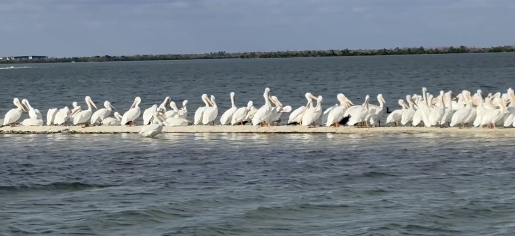 Five stars all the way!