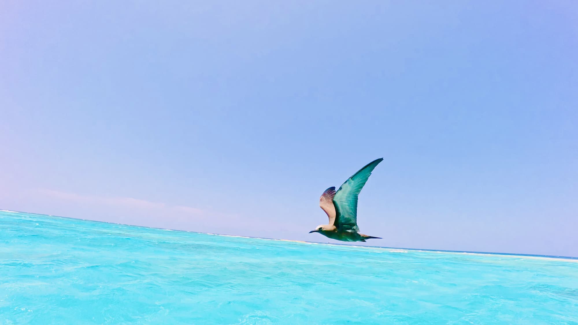 Charter Image