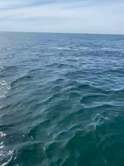 Charter Image