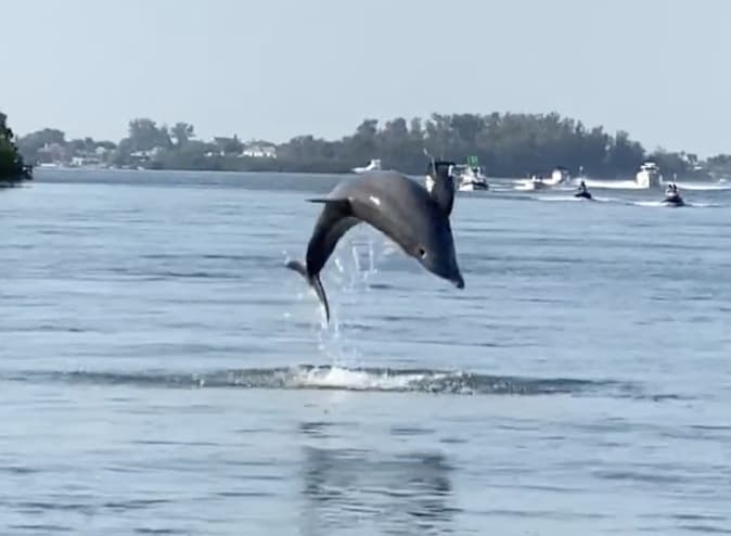 Charter Image