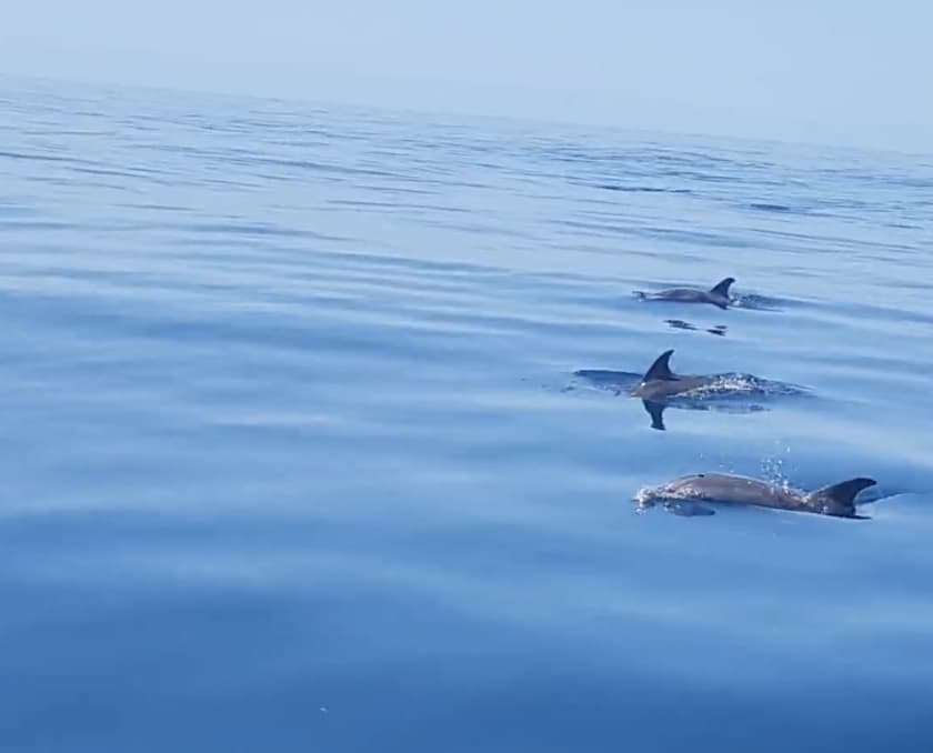 Charter Image