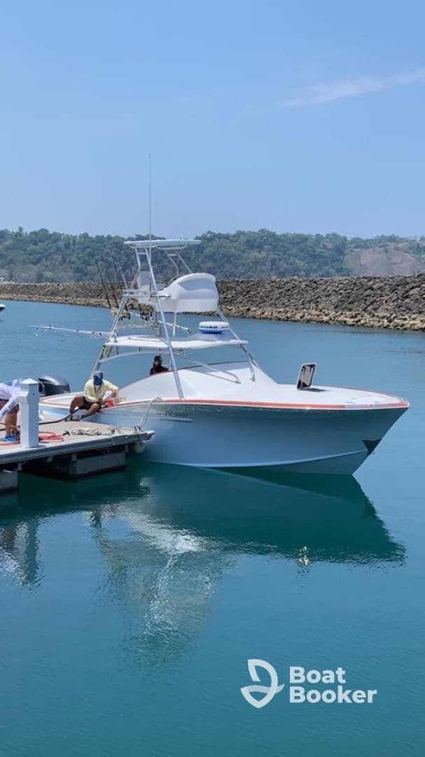 Charter Image