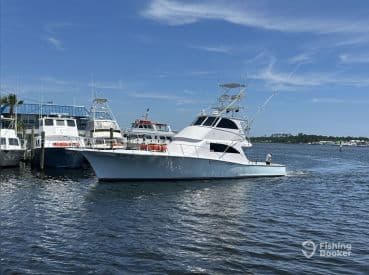Blue Water Connection LLC – Billistic II