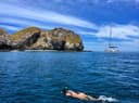 Sea Breeze Fishing & Adventures