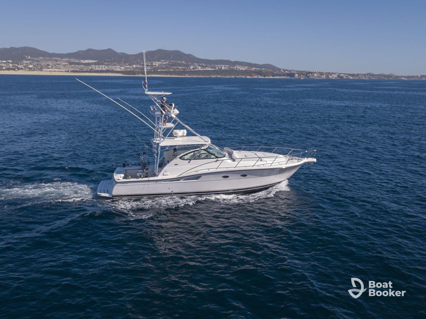 Charter Image