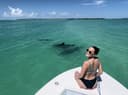 Sandbar/Snorkel/ Dolphins/Sunset Trips