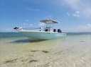 Knee Deep Charters