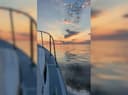 Lyla Rose Charters