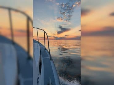 Lyla Rose Charters