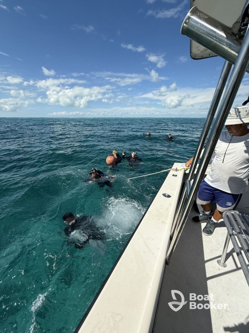 Charter Image