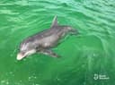 Coastal Life Charters & Adventures