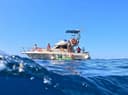 ODF – Ocean Dive & Fishing Lda