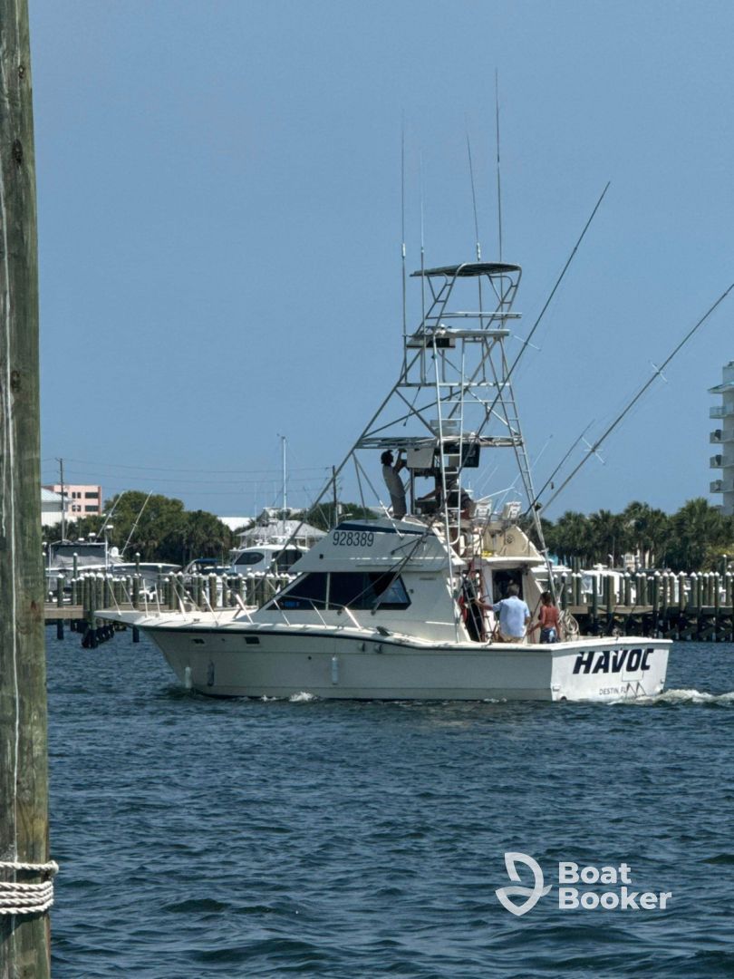 Charter Image