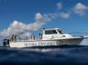 Silver Thatch Watersports – Diver
