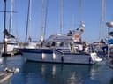 Cascais Boat Tours with Dreamboats