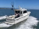 Mollys Boats