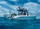 Charters n Paradise