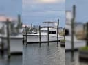 Nauti-Nurse Dolphin Tours