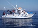 Daily Boat And Fishing Charters