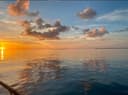 Salty Goat Fishing Company