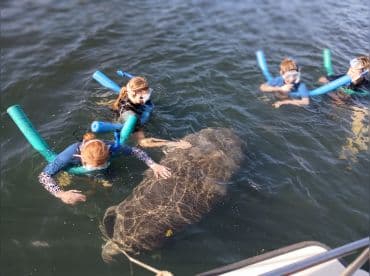 Manatee tours are fun for the whole family.