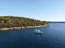 Flipper Boat Excursion