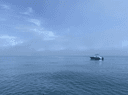 Elysian Charters