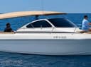 Dolphin Watching Boat Tour for Small Groups